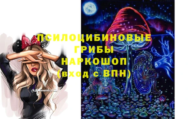 спиды Богородск