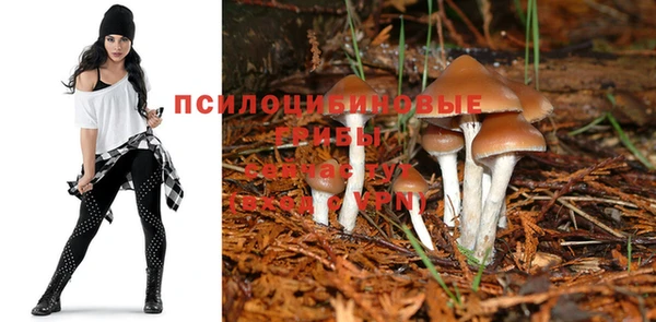 МДПВ Богородицк