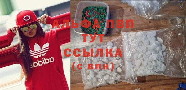 индика Верея