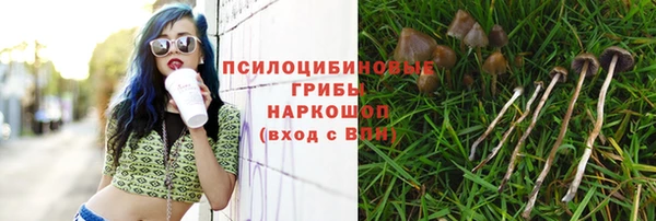 индика Верея