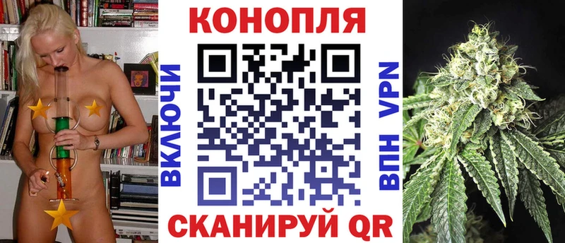 продажа наркотиков  mega зеркало  Бошки марихуана сатива  Емва 